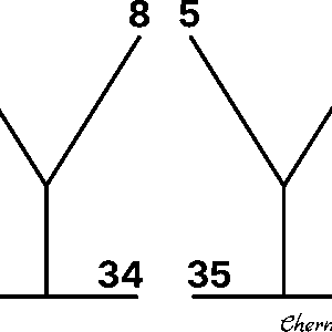 Принт 10